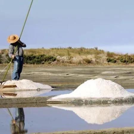La Porte Saint Mi-sel, Au Coeur De La Cite Medievale Guérande